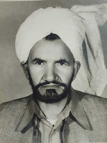 syed_niaz_Hussain_mandiyala_cropped